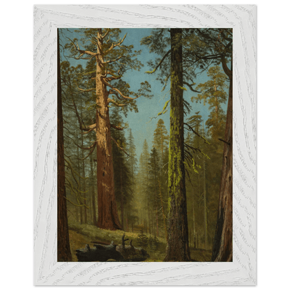 Wooden Framed Print | The Grizzly Giant Sequoia - Lyrea