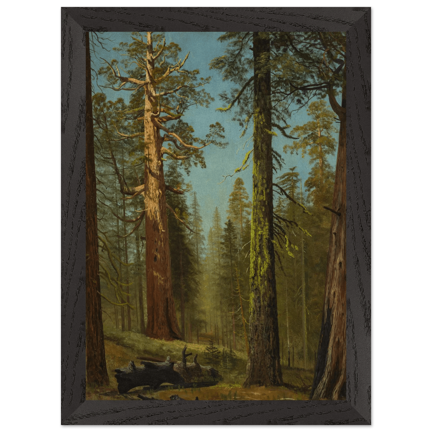 Wooden Framed Print | The Grizzly Giant Sequoia - Lyrea