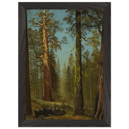 Wooden Framed Print | The Grizzly Giant Sequoia - Lyrea