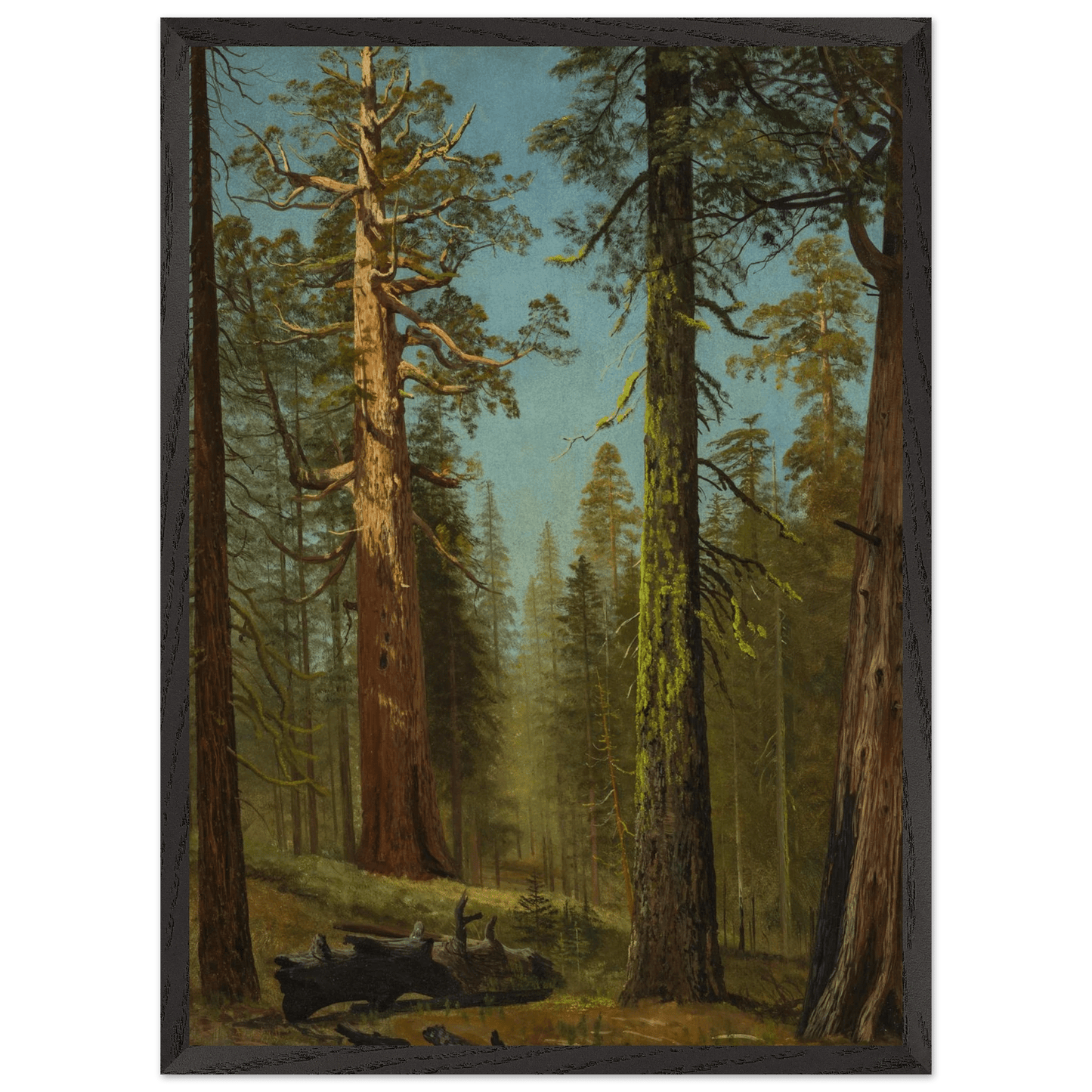Wooden Framed Print | The Grizzly Giant Sequoia - Lyrea
