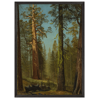 Wooden Framed Print | The Grizzly Giant Sequoia - Lyrea