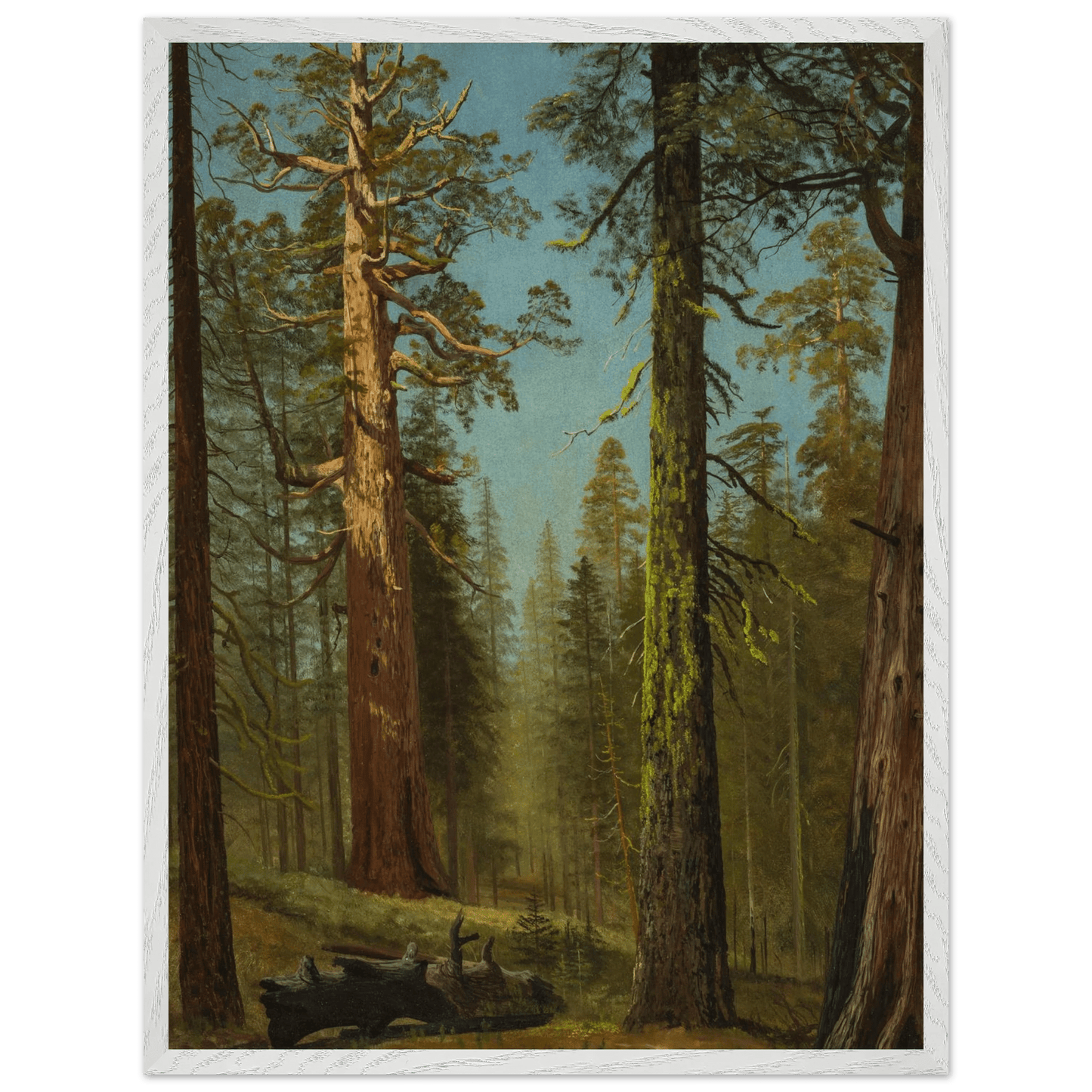 Wooden Framed Print | The Grizzly Giant Sequoia - Lyrea