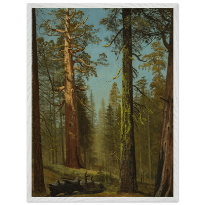Wooden Framed Print | The Grizzly Giant Sequoia - Lyrea