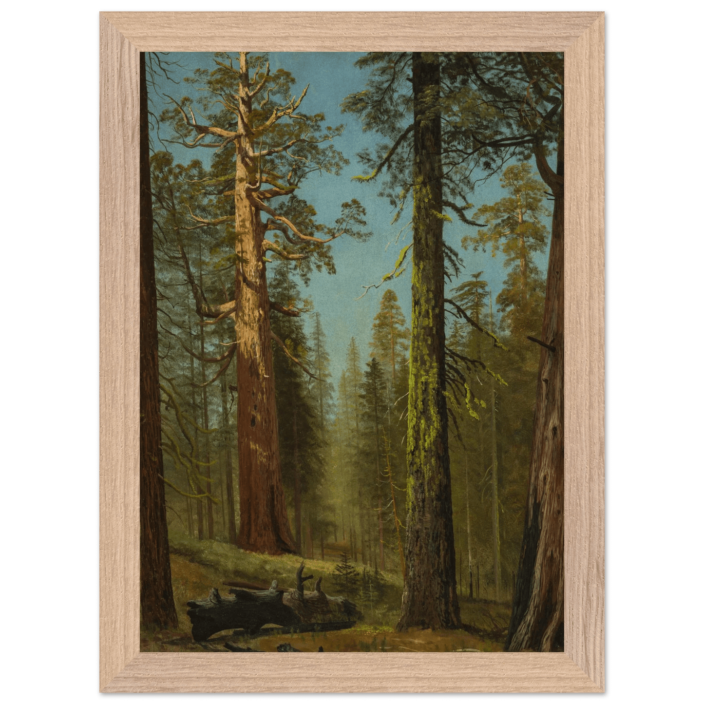 Wooden Framed Print | The Grizzly Giant Sequoia - Lyrea