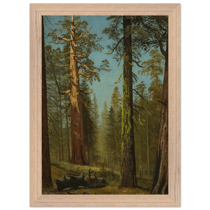 Wooden Framed Print | The Grizzly Giant Sequoia - Lyrea