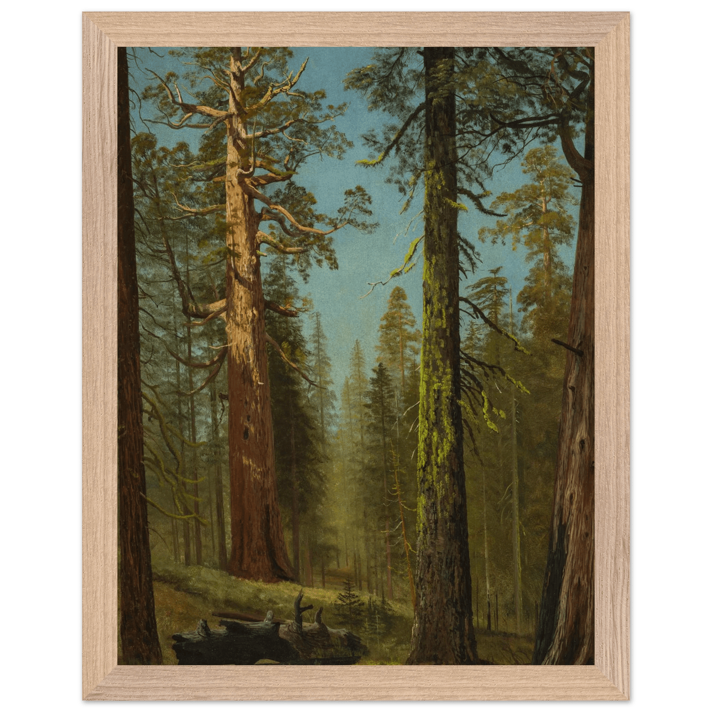 Wooden Framed Print | The Grizzly Giant Sequoia - Lyrea