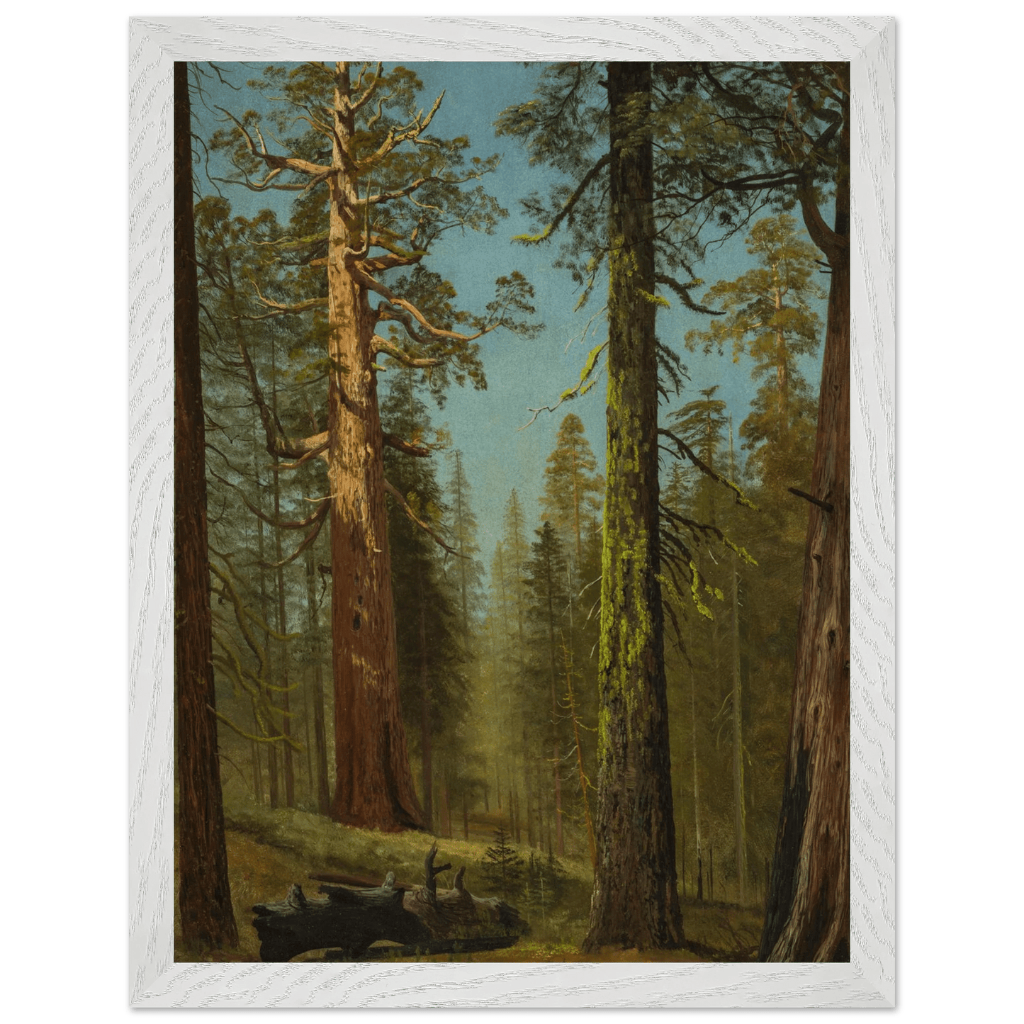 Wooden Framed Print | The Grizzly Giant Sequoia - Lyrea