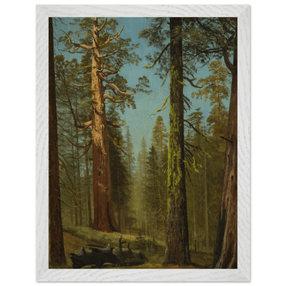 Wooden Framed Print | The Grizzly Giant Sequoia - Lyrea