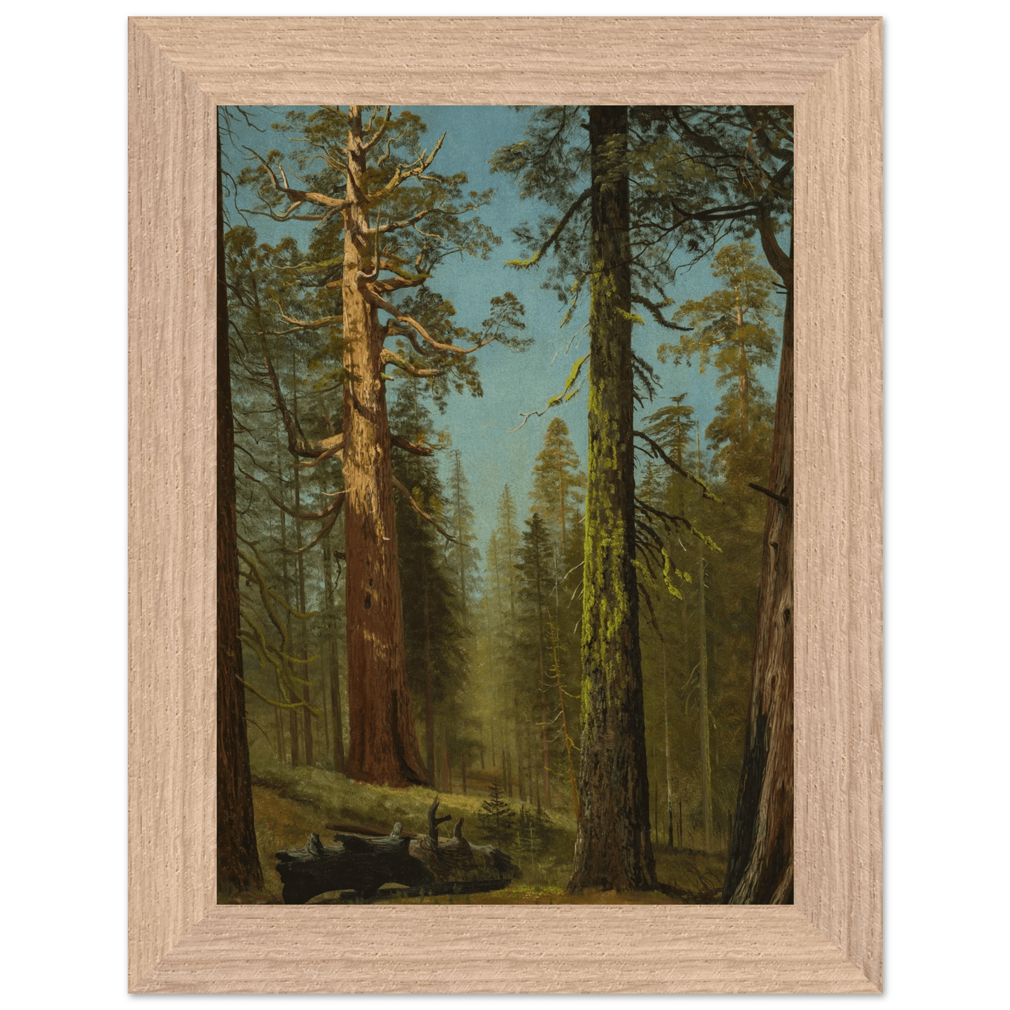 Wooden Framed Print | The Grizzly Giant Sequoia - Lyrea