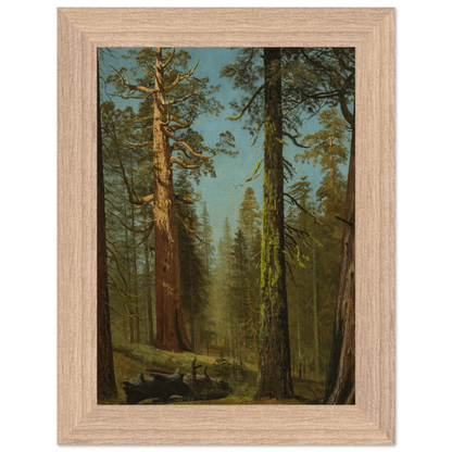 Wooden Framed Print | The Grizzly Giant Sequoia - Lyrea