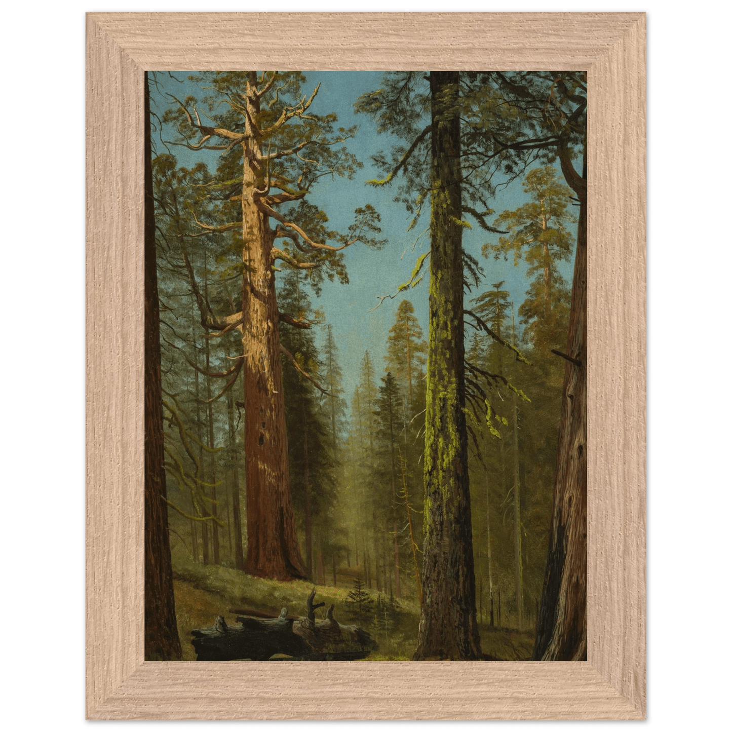 Wooden Framed Print | The Grizzly Giant Sequoia - Lyrea