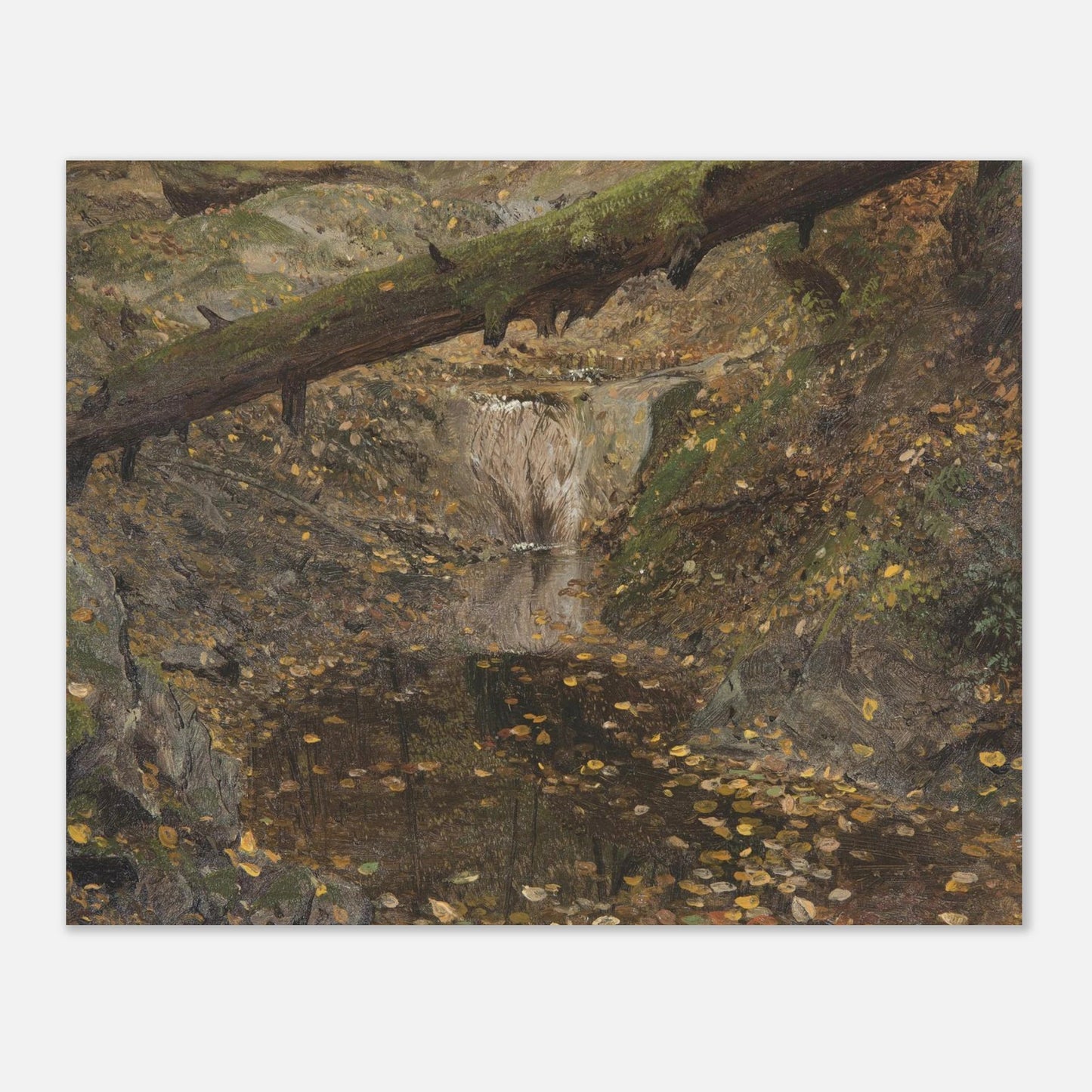 Woodland Stream | Museum - Quality Paper - Lyrea