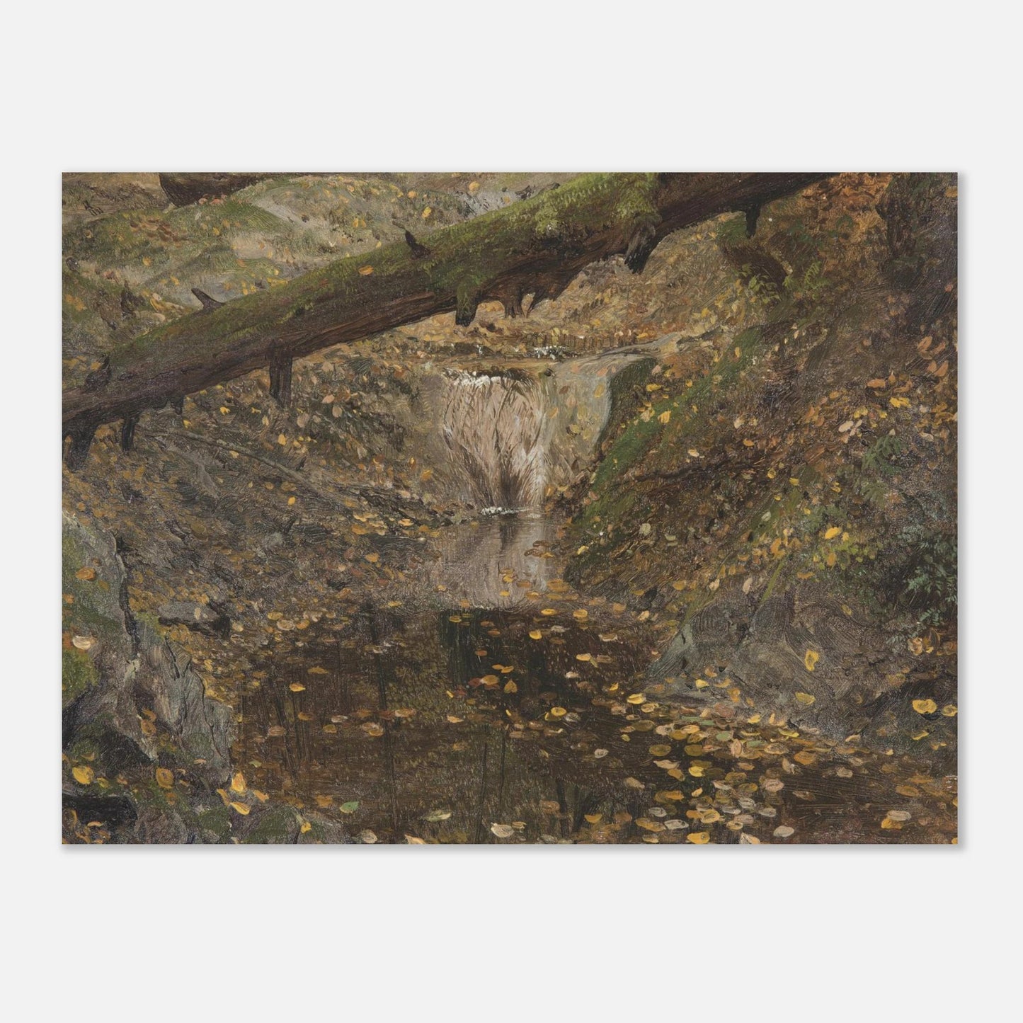 Woodland Stream | Museum - Quality Paper - Lyrea