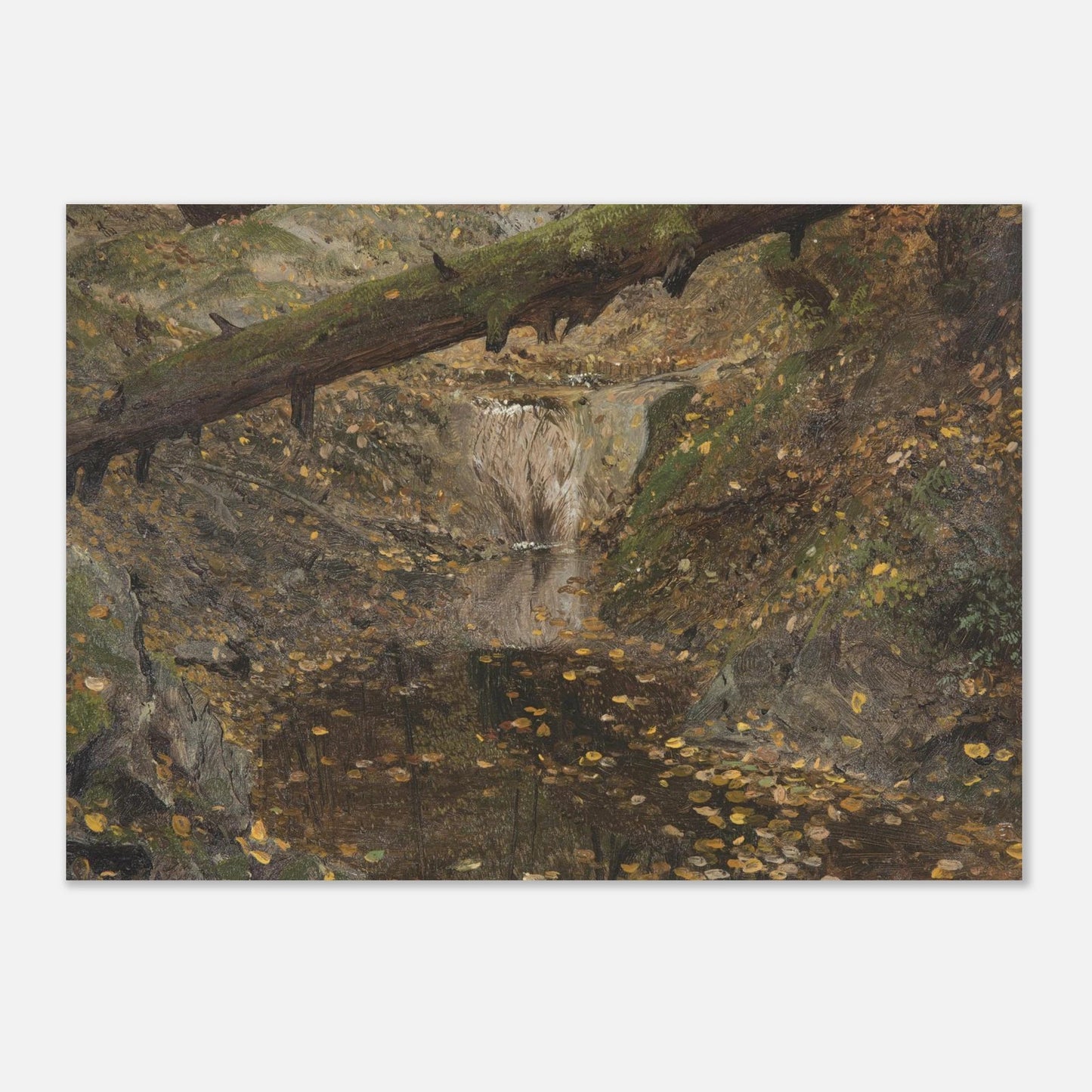 Woodland Stream | Museum - Quality Paper - Lyrea