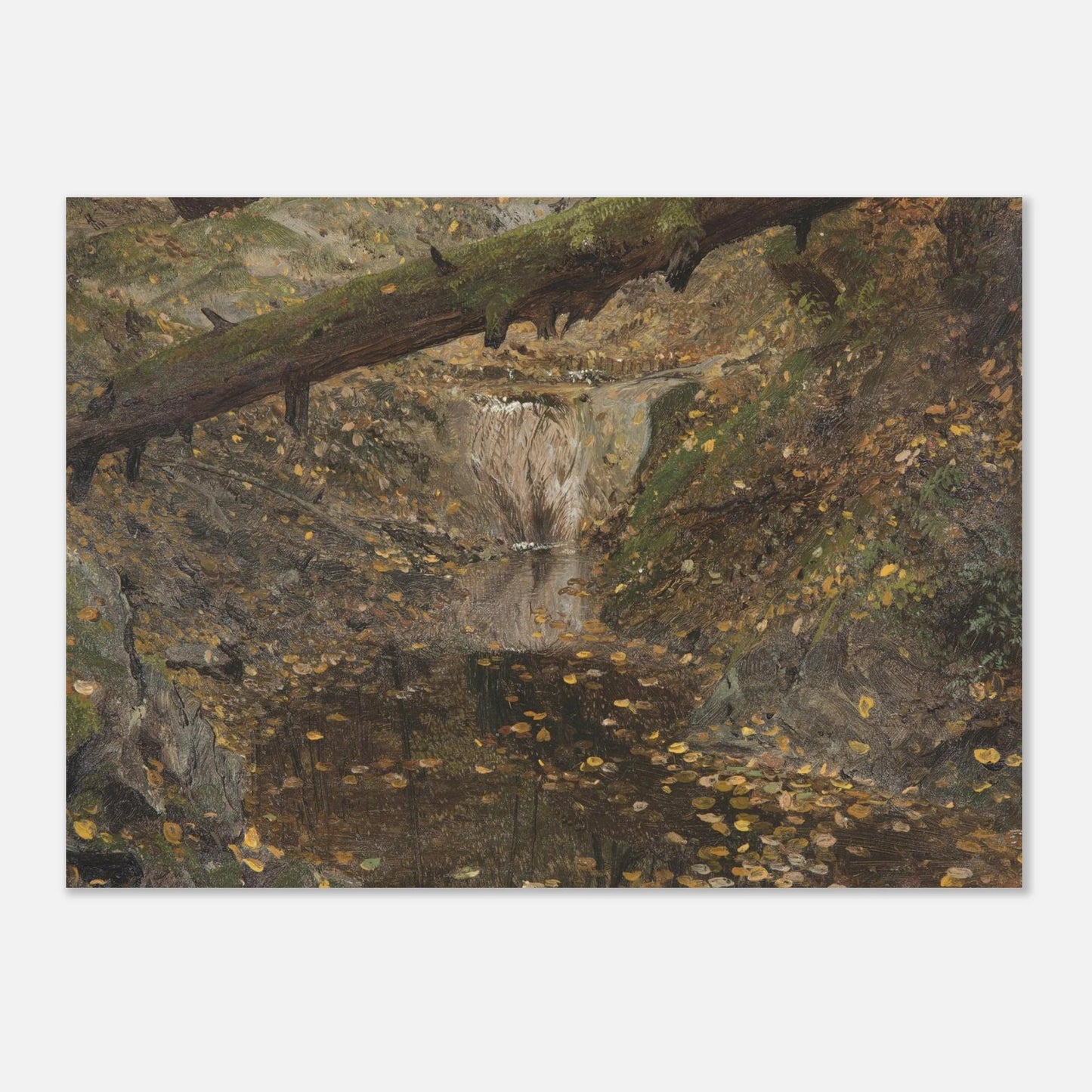 Woodland Stream | Museum - Quality Paper - Lyrea