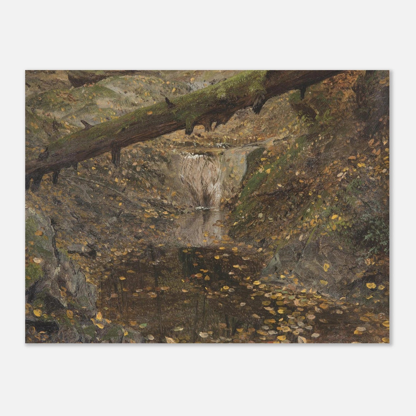 Woodland Stream | Museum - Quality Paper - Lyrea