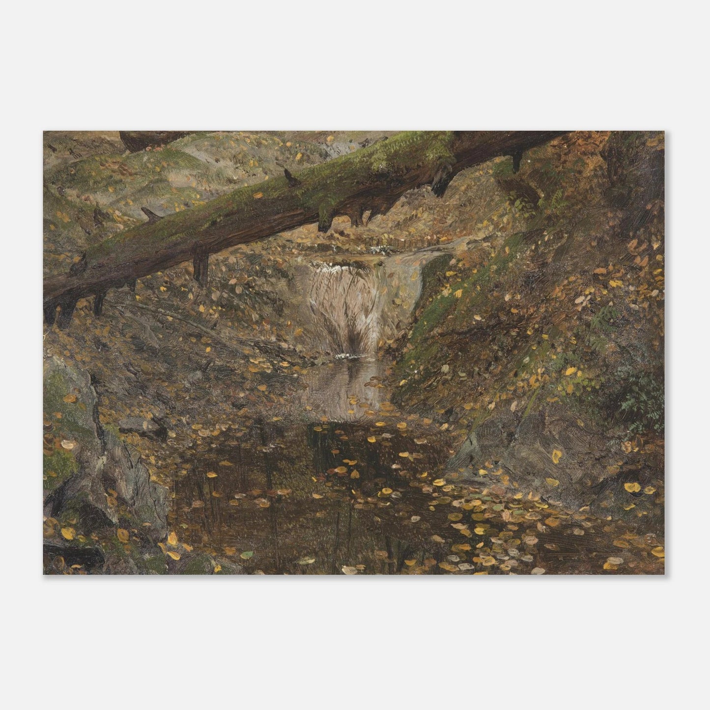 Woodland Stream | Museum - Quality Paper - Lyrea