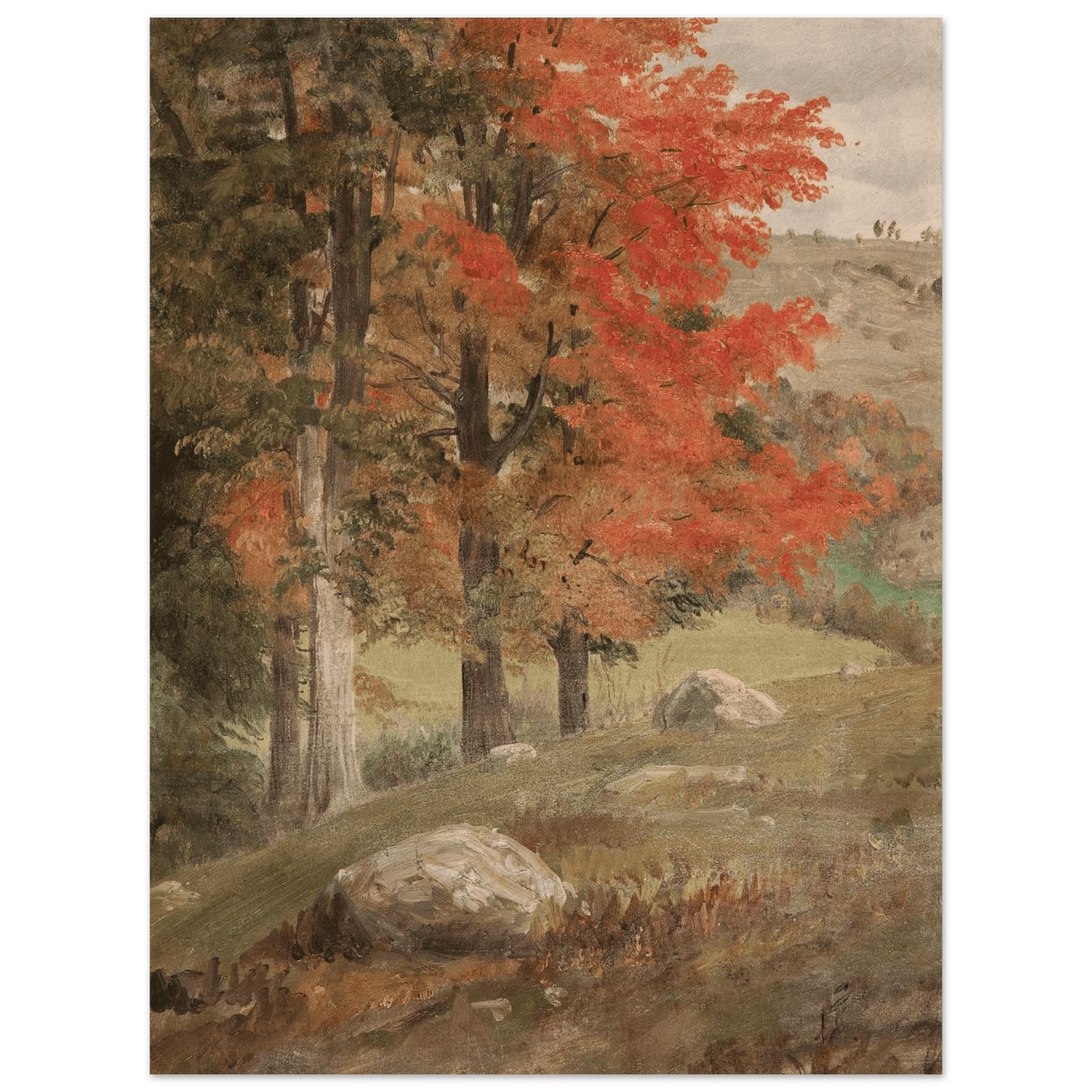 Woods in Autumn | Museum - Quality Paper - Lyrea
