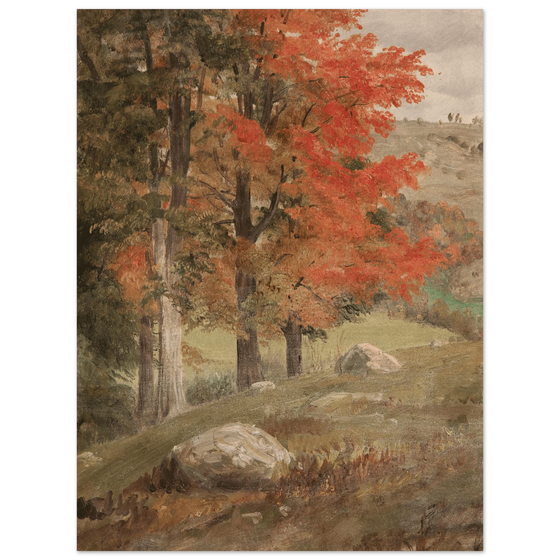 Woods in Autumn | Museum - Quality Paper - Lyrea