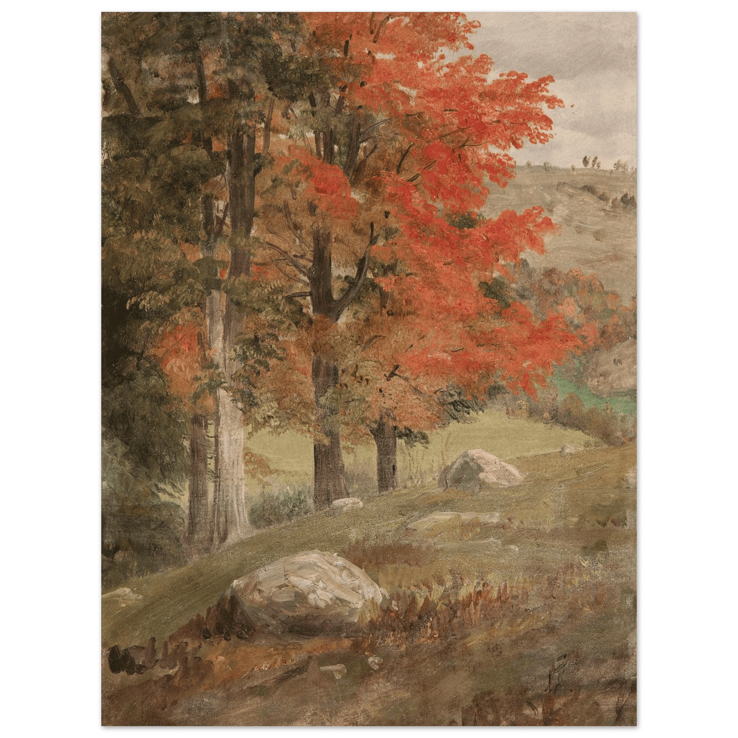 Woods in Autumn | Museum - Quality Paper - Lyrea