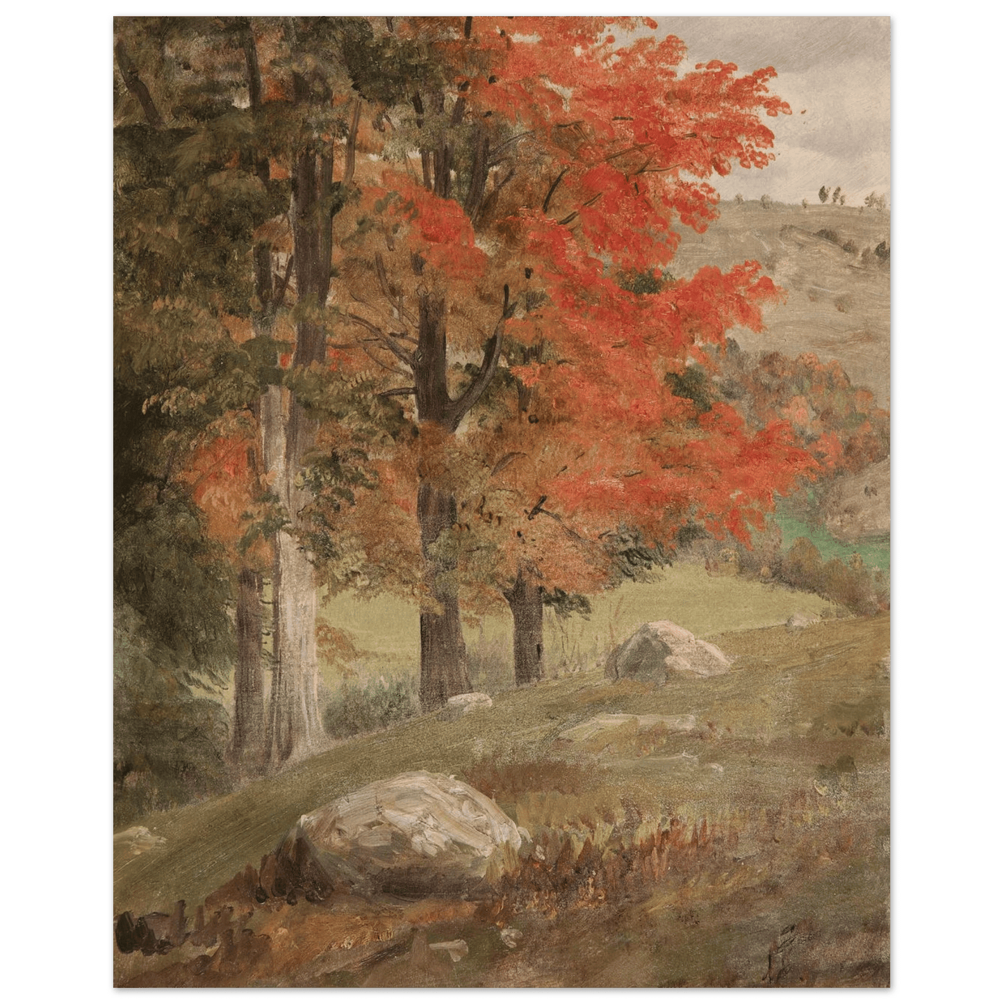 Woods in Autumn | Museum - Quality Paper - Lyrea