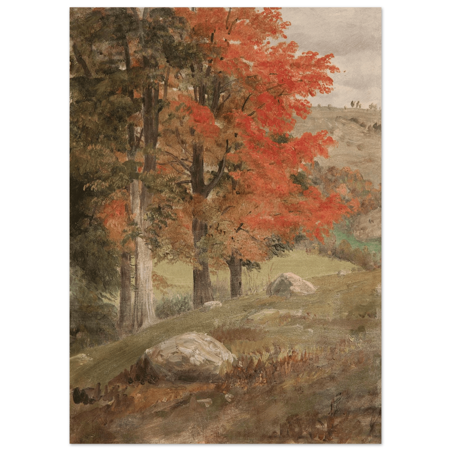 Woods in Autumn | Museum - Quality Paper - Lyrea